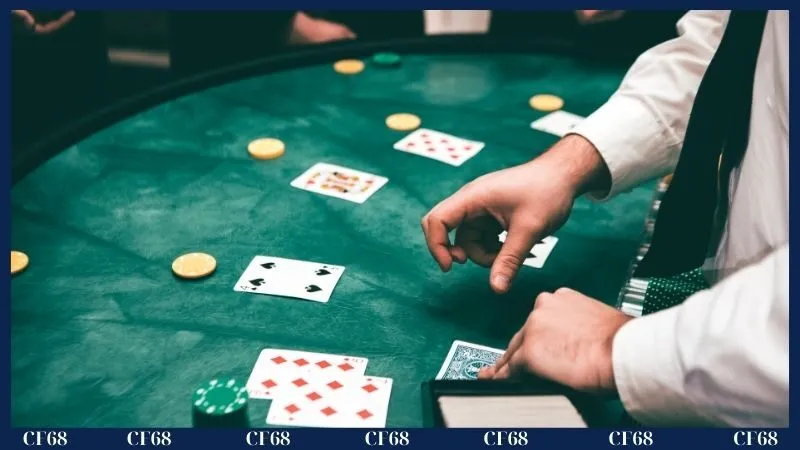 Dealer có vai trò gì trong Live Casino